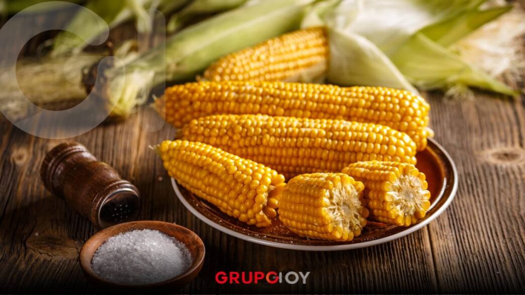 La indignación se siente en Campeche: productores exigen precio justo por su maíz