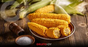 La indignación se siente en Campeche: productores exigen precio justo por su maíz