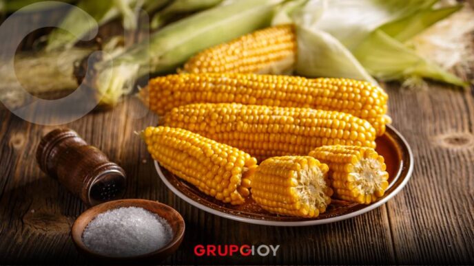 La indignación se siente en Campeche: productores exigen precio justo por su maíz