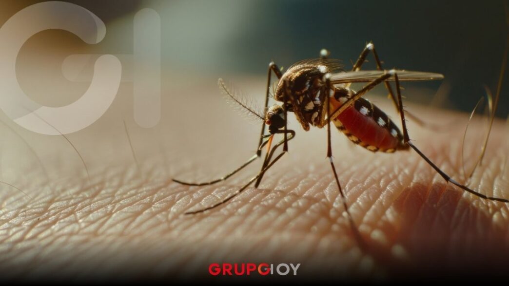 Cofepris autoriza la vacuna japonesa contra el dengue Qdenga en México