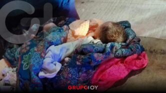 Encuentran a recién nacido abandonado en basurero clandestino de Cancún